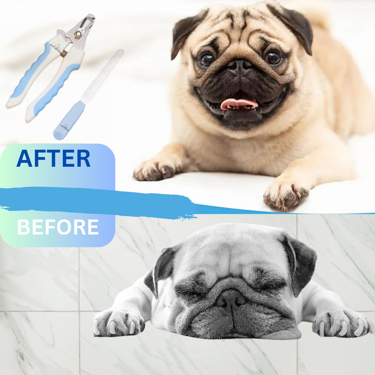 H&A PETCARE Dogs and Cats Nail Clipper and File, For All Breeds and Size Animals, Professional Easy To Use, Compact and Easy To Store.