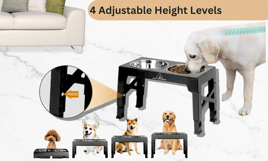 H&A PETCARE 3-in-1 Raised Dog And Cat Bowl: Elevated Feeding Bowl with Slow Feeder, Non-Spill Water Dispenser, and 4 Adjustable Heights – Perfect for Small, Medium, and Large Dogs and Cats"
