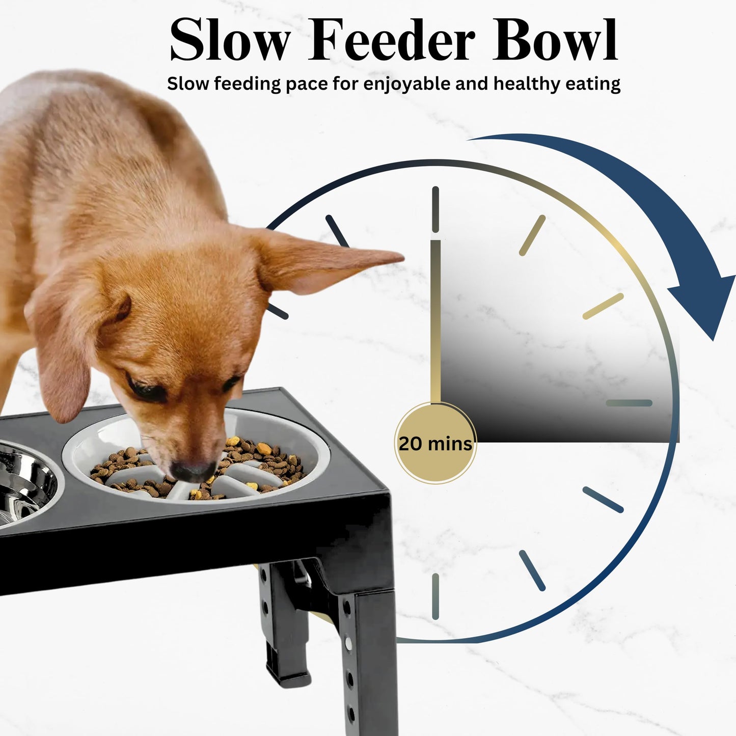 H&A PETCARE 3-in-1 Raised Dog And Cat Bowl: Elevated Feeding Bowl with Slow Feeder, Non-Spill Water Dispenser, and 4 Adjustable Heights ā Perfect for Small, Medium, and Large Dogs and Cats"