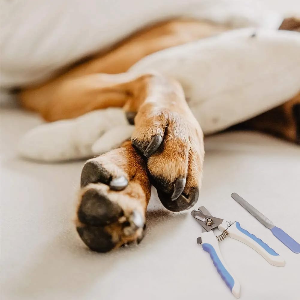 H&A PETCARE Dogs and Cats Nail Clipper and File, For All Breeds and Size Animals, Professional Easy To Use, Compact and Easy To Store.