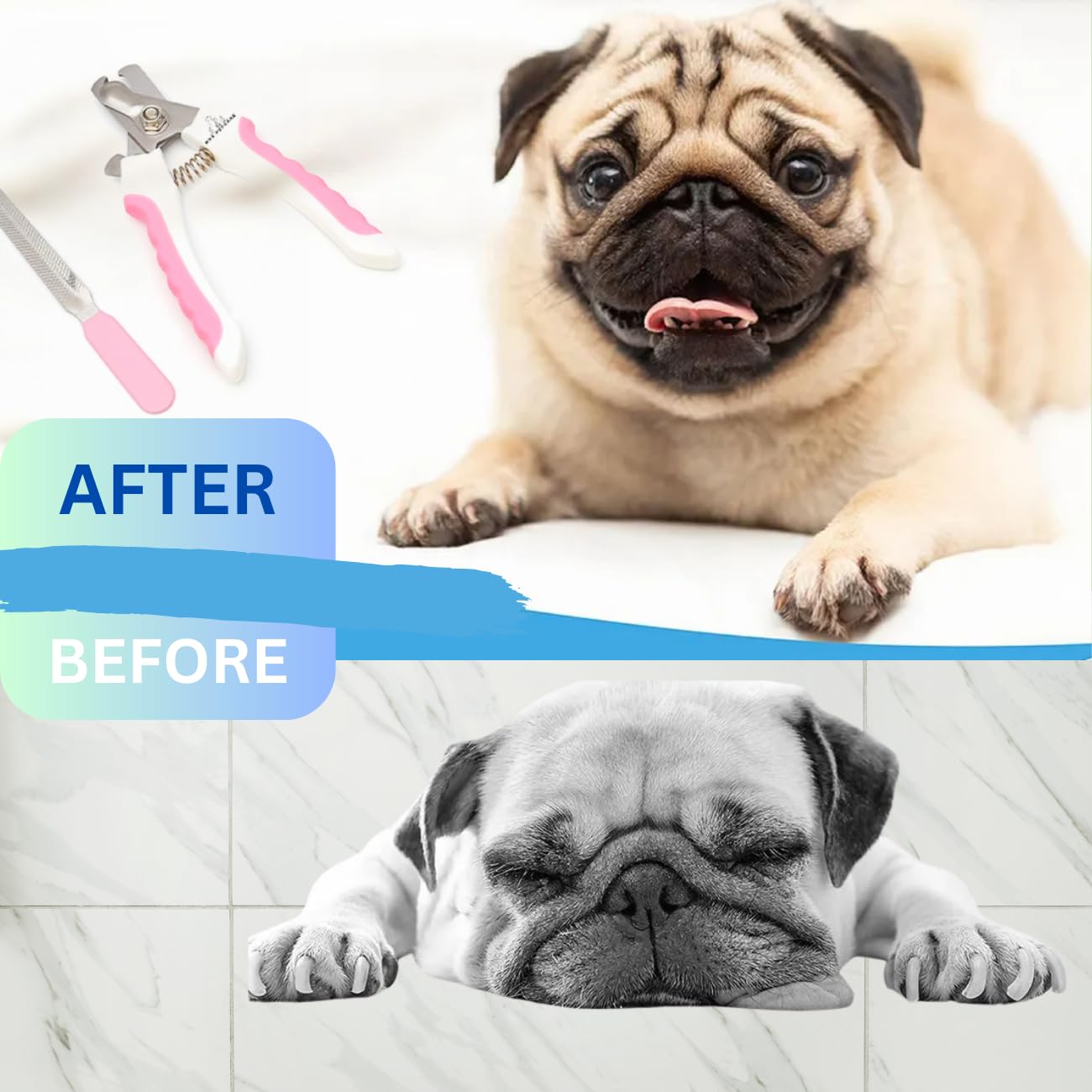 H&A PETCARE Dogs and Cats Nail Clipper and File, For All Breeds and Size Animals, Professional Easy To Use, Compact and Easy To Store.