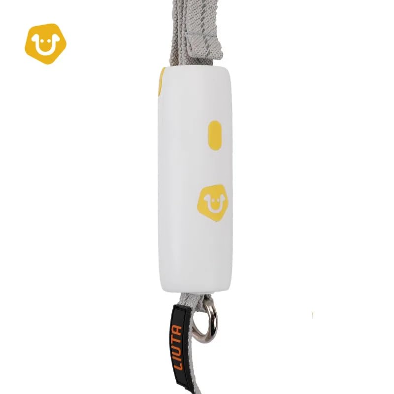 H&A Petcare Dog Leads For Small And Medium Dogs, Short Dog Lead For Puppy, 6ft Chew Proof Dog Lead, Anti-Lost Dog Leashes