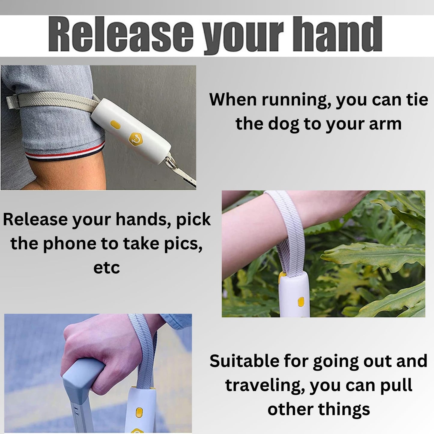 H&A Petcare Dog Leads For Small And Medium Dogs, Short Dog Lead For Puppy, 6ft Chew Proof Dog Lead, Anti-Lost Dog Leashes